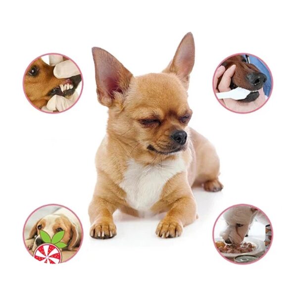 Pet Breath Freshener