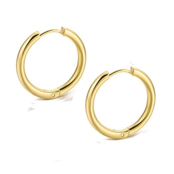 Retractable Earrings