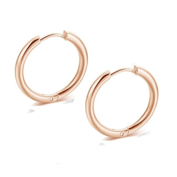 Retractable Earrings