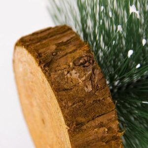 Small Christmas Tree