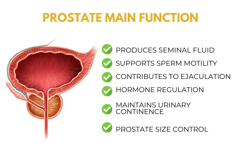 Biancat™ ProsVen Prostate Wellness Nasal Spray