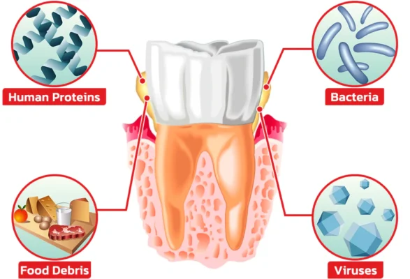 CC™️ SP4 Probiotic Whitening Toothpaste
