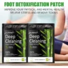 Nurbini™ TruDetox: Deep Detoxification & Sleep Enhancement with Foot Pads