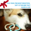 Bracelet - I Love Dogs
