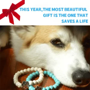 Bracelet - I Love Dogs