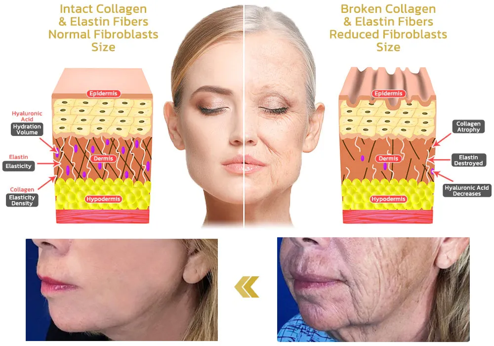 Coolord™ Collagen Peptides FIRMING SERUM STICK
