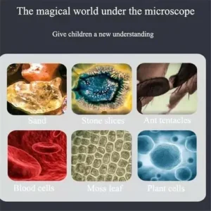 The Original Miniscope™