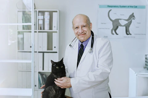 Flea & Tick Kolirin Spray