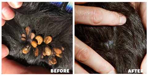 Flea & Tick Kolirin Spray