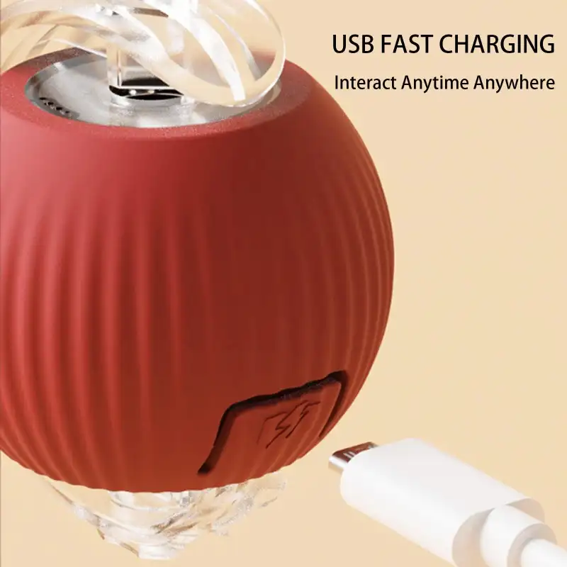 Intelligent Automatic Rolling Pet Ball