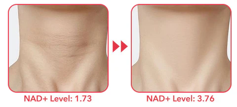 Lovilds™ Golden Age Refining Anti-Aging Serum
