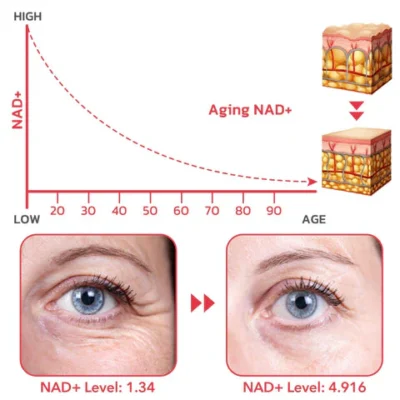 Lovilds™ Golden Age Refining Anti-Aging Serum