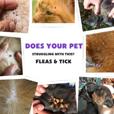 Flea & Tick Kolirin Spray