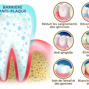 𝐎𝐲𝐢𝐤𝐞𝐲™ Focussmile Poudre de Thérapie Gingivale au Venin d'Abeille