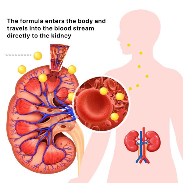AEXZR™ Kidney Boost Spray