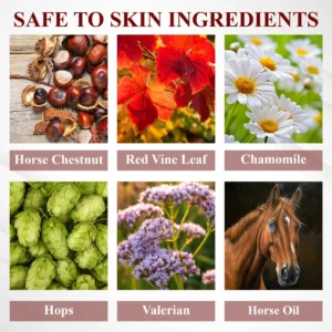 ArthroCareX™ Horse Chestnut Joints and Muscles Massage Gel AP