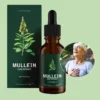 Breathe Easy with Mullein + Chlorophyll Drops | Natural Respiratory Support