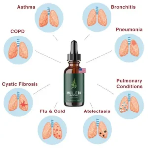 Breathe Easy with Mullein + Chlorophyll Drops | Natural Respiratory Support