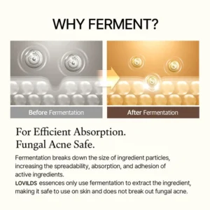 Lovilds™ Fermented Soy Exfoliating Antioxidant Hydrating Elasticity Essence