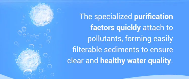 AEXZR™ Powerful Aquarium Water Purification Tablet