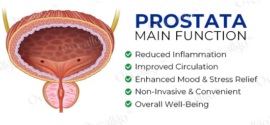 Oveallgo™ PRO ProstaAce PT-141 Nasal Spray