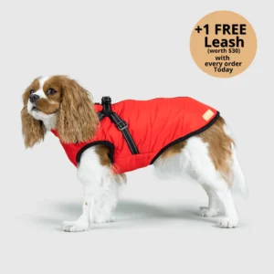 Pet 3 in 1 Winter Waterproof Winter Jacket with Built-in Harness LAST DAY SALE-80% OFF