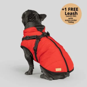 Pet 3 in 1 Winter Waterproof Winter Jacket with Built-in Harness LAST DAY SALE-80% OFF