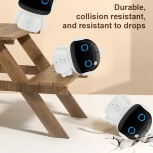 AI Intelligent Robot