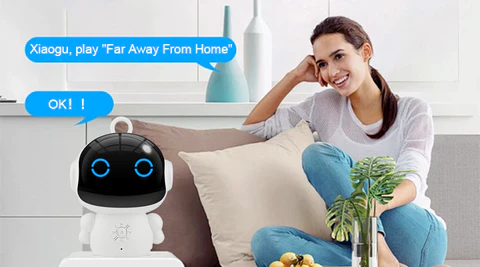 AI Intelligent Robot