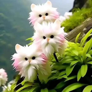 GFOUK™ Dazzle Flower Seeds🔥Grow Exquisite, Eye-Catching Flowers