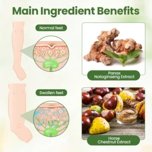 winter sale Biancat™ Lymphatic Detox Herbal Cream