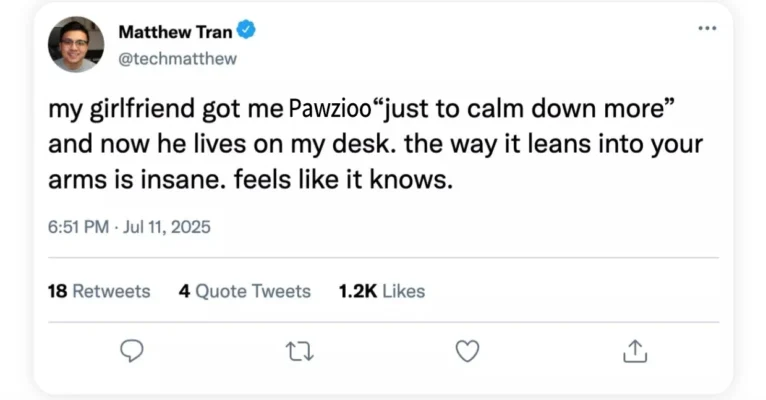 The Pawzioo— Emotional Healing on Demand