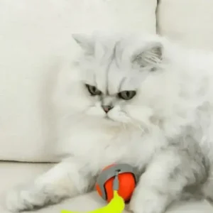 NESLEMY™ SPEEDY TAIL 2.0